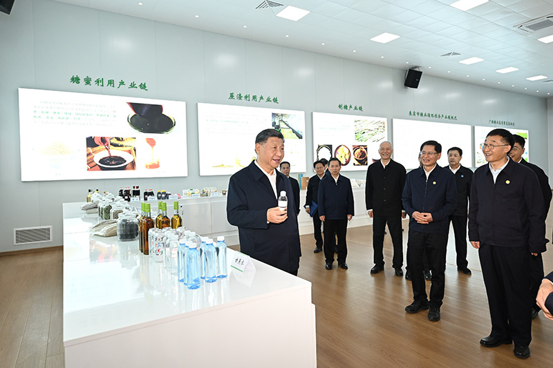 习近平在广西考察时强调 解放思想创新求变向海图强开放发展 奋力谱写中国式现代化广西篇章 蔡奇陪同考察「相关图片」