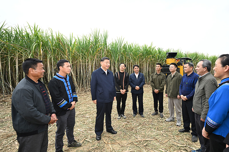 习近平在广西考察时强调 解放思想创新求变向海图强开放发展 奋力谱写中国式现代化广西篇章 蔡奇陪同考察「相关图片」