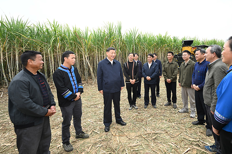 习近平在广西考察时强调 解放思想创新求变向海图强开放发展 奋力谱写中国式现代化广西篇章 蔡奇陪同考察「相关图片」