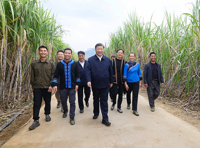 习近平在广西考察时强调 解放思想创新求变向海图强开放发展 奋力谱写中国式现代化广西篇章 蔡奇陪同考察「相关图片」